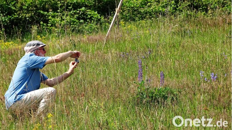 Viel zu erkunden: Dr. Markus Strauß von der Stiftung Essbare Wildpflanzenparks (Mitte) führte interessierte Gäste über den ersten Teil des Pfades. hl
