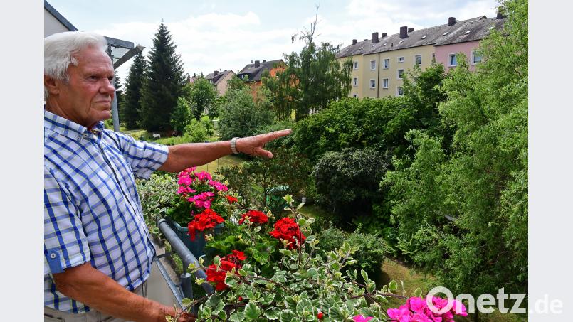 Das Wohnungsunternehmen möchten das Areal zwischen den Wohnblocks an der Hockermühlstraße und der Fürstenhofstraße (oben rechts) neu gestalten. Es sollen unter anderem Stellplätze für Autos entstehen. Bewohner Günter Walter deutet auf den Grünstreifen. Er befürchtet, dass damit eine Ruhezone vernichtet wird. Petra Hartl