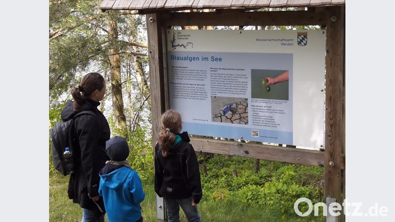 An zahlreichen Tafeln können sich die Wanderer unter anderem über Blaualgen im See informieren. Stefan Puhane