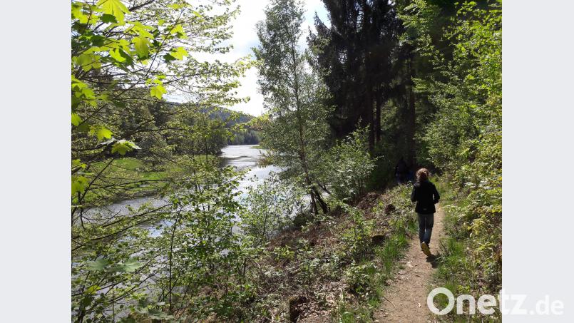 Der Eixendorfer See bietet alles, was Naturliebhaber schätzen. Stefan Puhane