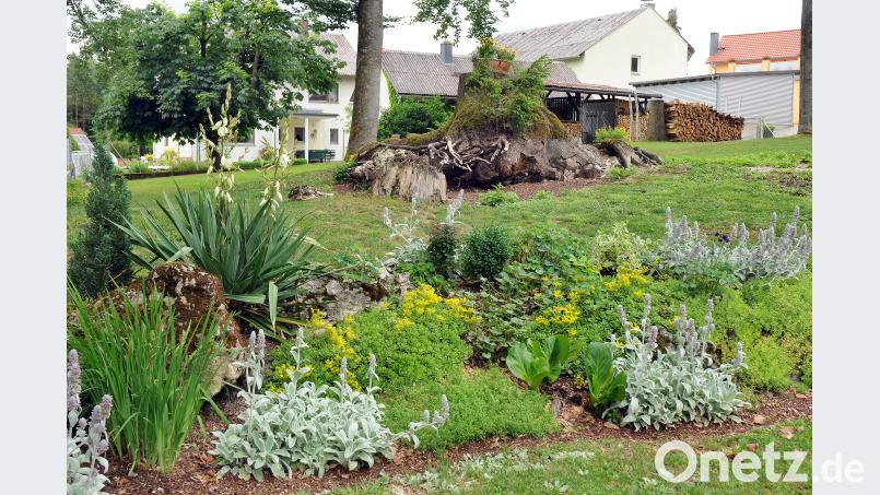 Hier war die Natur Gartengestalter: In Helga Illguths grüner Oase gibt es es alles – vom Gemüsegarten übers Blumenbeet bis zu mächtigen Bäumen und einer märchenhaften Parklandschaft aus Felsen und Hügeln Stephan Huber