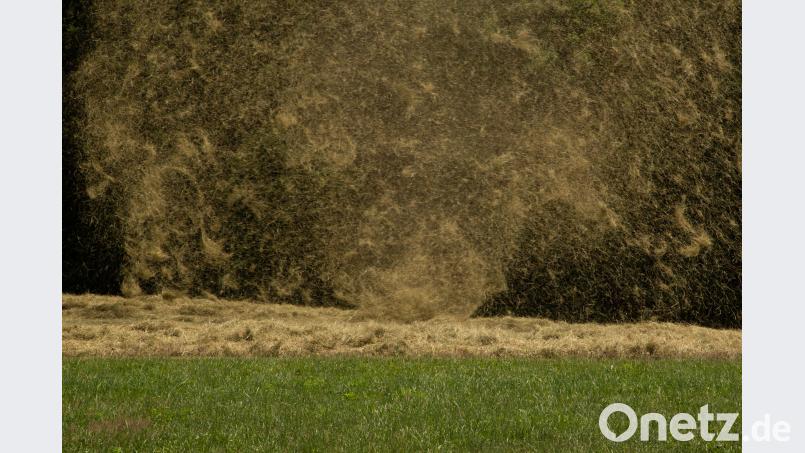 Windhose im Heu bei Letzau. Josef Schell