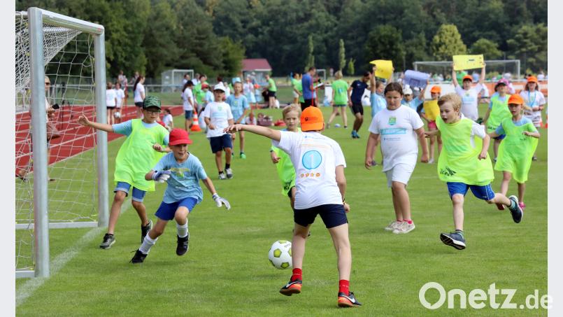Mit voller Begeisterung bei der Sache. Viel mehr als 300 Grundschüler aus Schwarzenfeld und Stulln wurden am Donnerstag zu &quot;Ballhelden&quot;. Bild: Götz