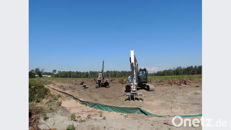 Für das Vehicle Maintanance Center müssen fast zehn Hektar Wald weichen.Die Rodung ist erfolgt,  nun wird entstockt. Bemerkenswert ist der Amphibienschutzzaun. Es läuft alles nach deutschem Recht mit Ausgleichsmaßnahmen. exb