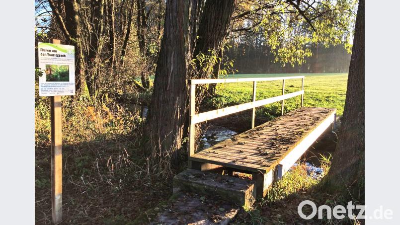 Der Tannensteg gibt der Mannertruppe ihren Namen. hai