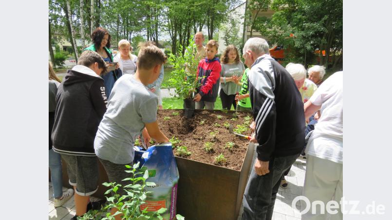 Gemeinsam bepflanzten Schüler der Mittelschule und Bewohner des Seniorenheim Löffler das Hochbeet. Adam, Johann [ADJ]