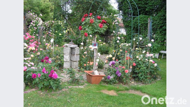 Eine Sonnenuhr auf Steinquatern bereichert die Rosenpracht. ÖT