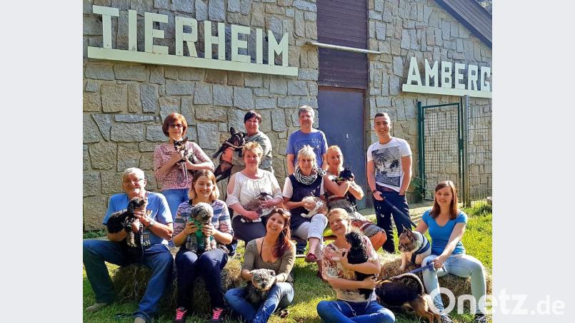 Das Team vom Amberger Tierheim mit einigen seiner Schützlinge. Die Leistungen, die hier rund um die 7000 Tiere aus dem illegalen Tiertransport vom Oktober 2017 erbracht wurden, würdigte die Staatsregierung mit dem Bayerischen Tierschutzpreis 2018. exb