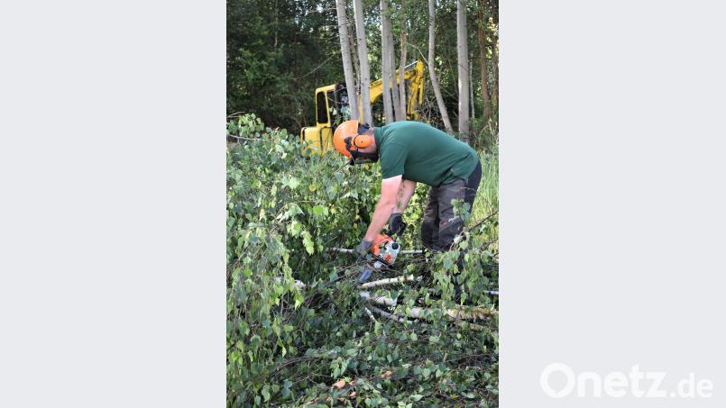 Viele Sträucher und Büsche müssen entfernt werden. rgr