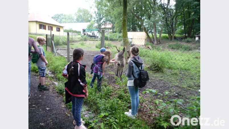 Die Schüler machten sich auf den Weg durch den "Zauberwald" EXB