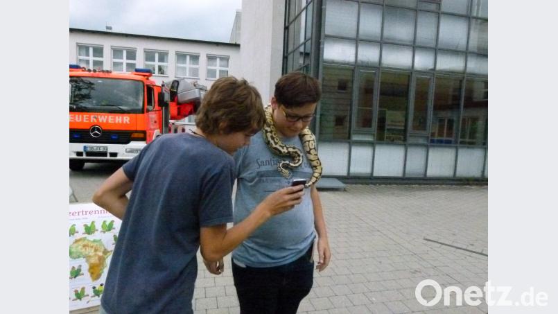 Die Königspython fürs Handy Bild: rn