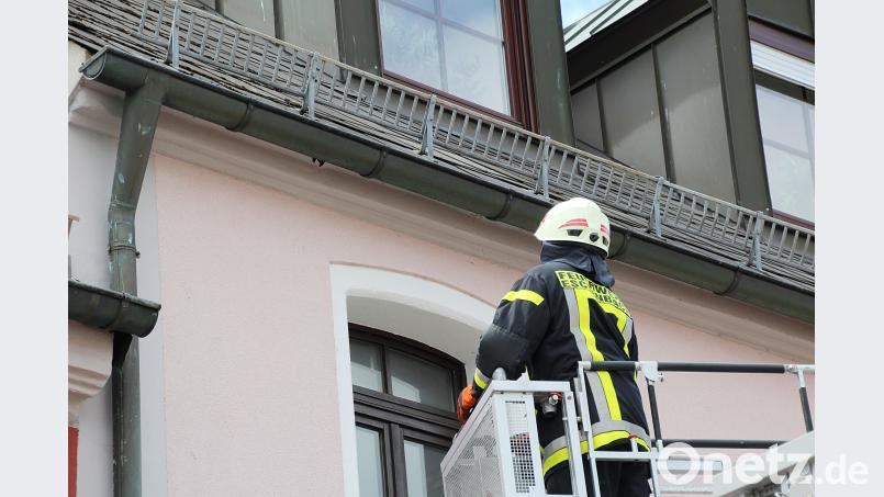 Ein Feuerwehrmann befreit die Schwalbe aus der Dachrinne. jma