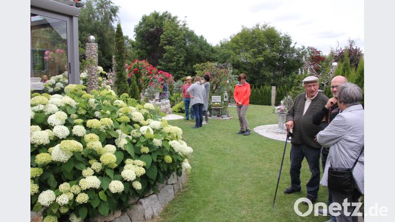Tolles Blumenparadies im Garten von Gerlinde und Thomas Hecht in Großkonreuth. kro