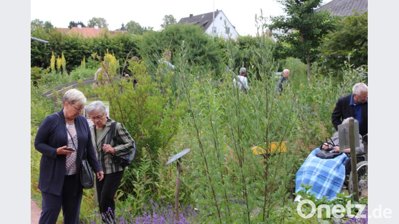 Der Naturerlebnisgarten in Waldsassen ist immer ein Erlebnis. kro
