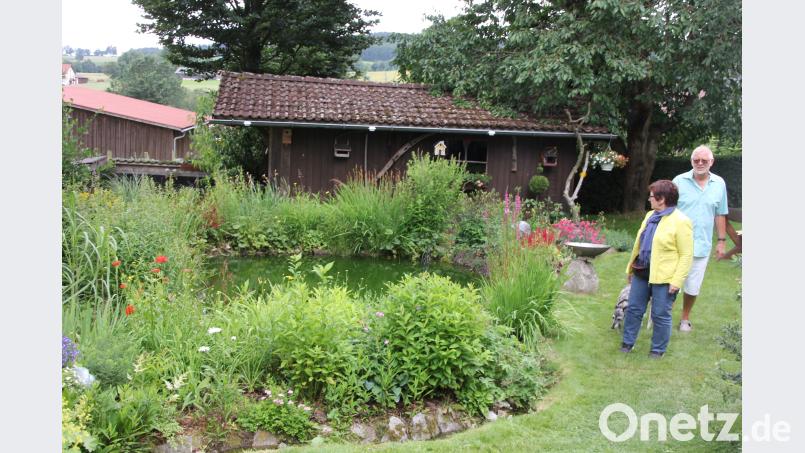 Idyllischer Gartenteich im Garten von Marianne und Albert Schicker. kro