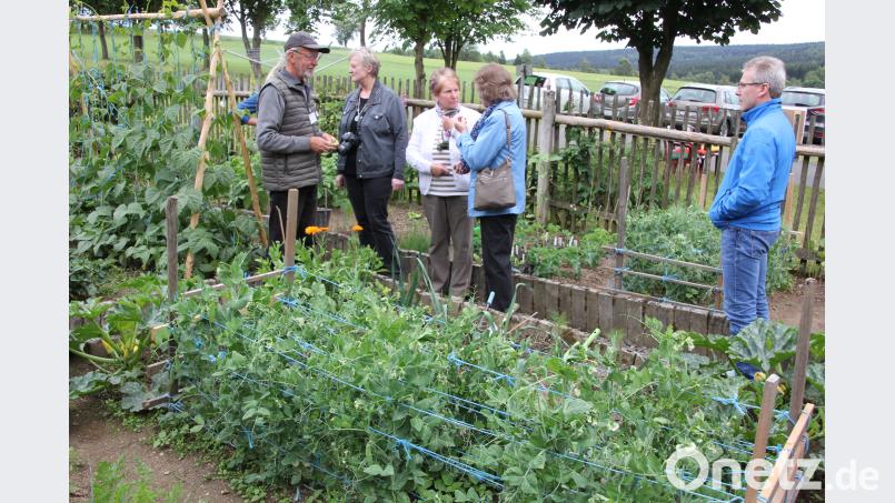 Der Gemüsegarten von Rosemarie und Josef Meißner in Neumühle. kro