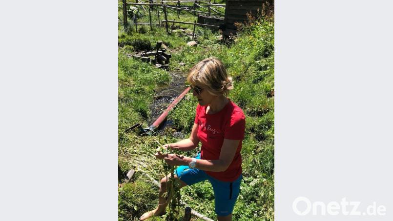 Wanderführerin Karin Kinigadner kennt sich mit Wildkräutern aus. Thomas Dobler