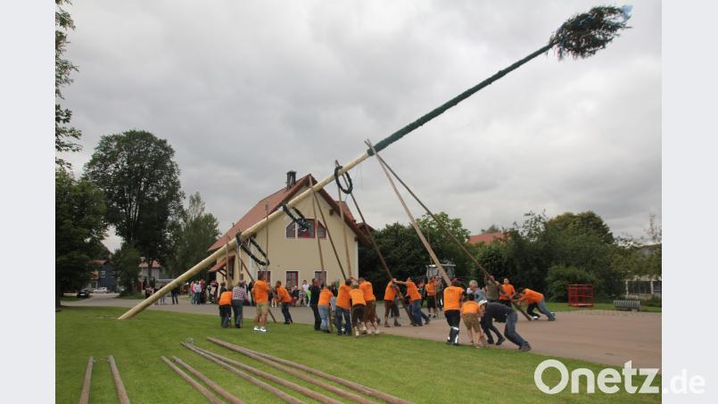 Nach alter Tradition ist der 28 Meter lange Kirwabaum unter den bewundernden Blicken der angehenden Festdamen hochgehievt worden. frd