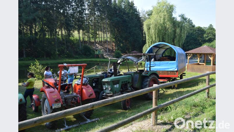 Mit ihren Fahrzeugen sind die Oldtimerfreunde Kirchenthumbach in den Steinwald aufgebrochen. dfr