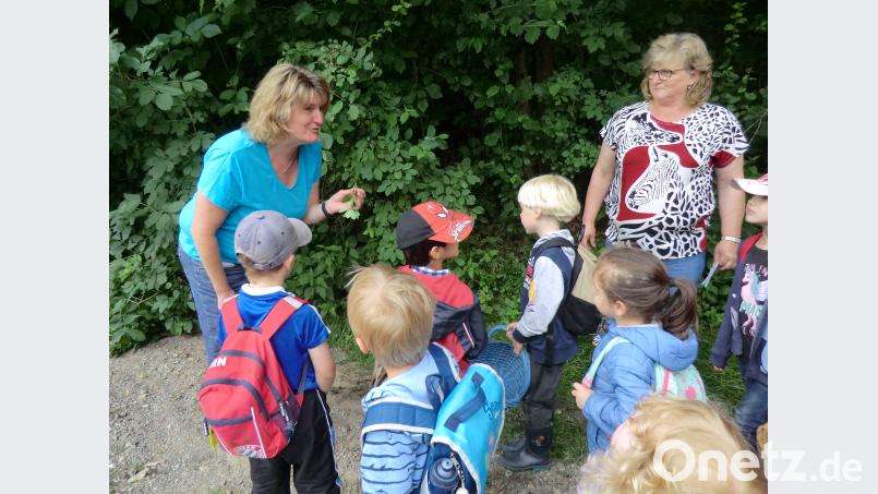 Eine ganze Woche wanderte täglich die Mäusegruppe mit der Erzieherin Gabi Hagn und der Kinderpflegerin Michaela Dietz in den Kurpark. Sie lernen viele Schätze der Natur von den Kräuterexpertinnen Bettina Lehner und Maria Bayer-Schmidt (von links) kennen. gi