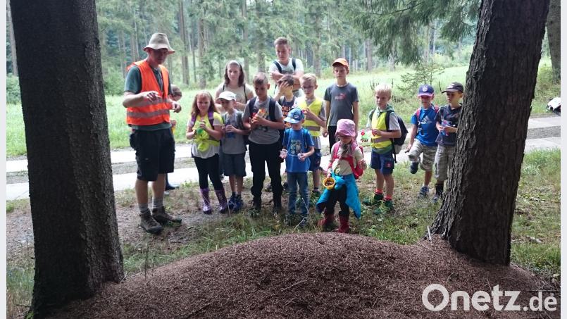 "Ein wichtiger Aspekt der Aktionen ist auch, die Kinder wieder mehr mit der Natur vertraut zu machen", so Teamleiter Gerhard Steiner Steiner, Gerhard [STN]