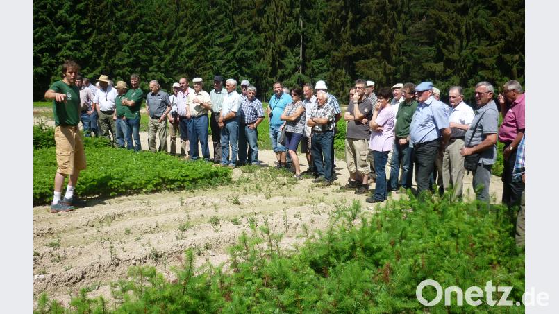Diplom-Ingenieur Martin Kahl (links) erläuterte bei den verschiedenen Anbauflächen, den aufwändigen Weg und die vielen Arbeitsschritte vom Samenkorn bis zur auslieferungsfähigen Forstpflanze, der bis zu vier Jahre dauert. Bild: haa