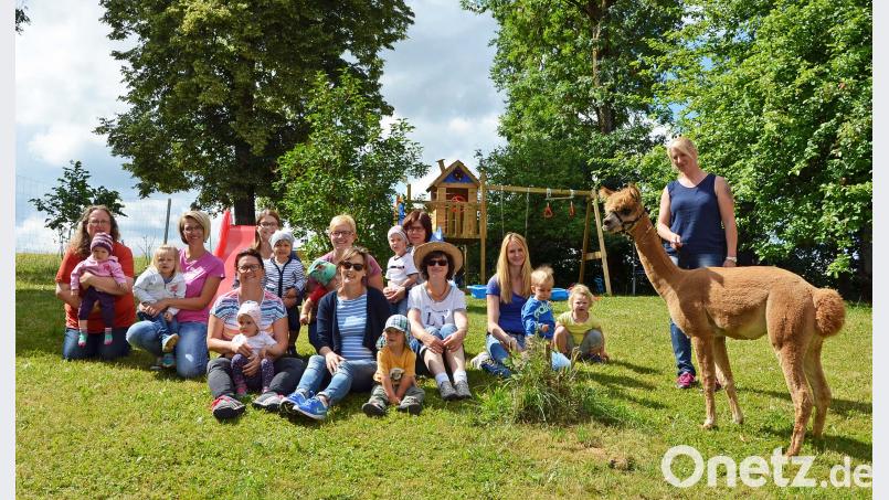 Die Mutter-Kind-Gruppe besucht die Alpakas in Höflas. ü