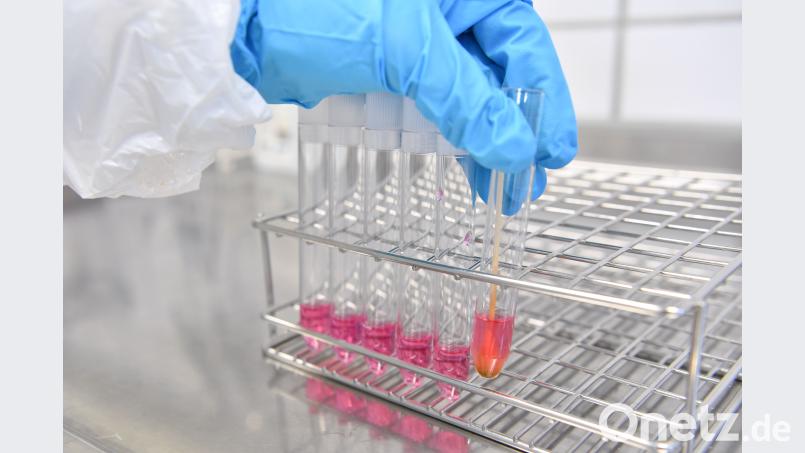 Es geht um die Produktion von hochwertigem Rohrglas, das Schott unter anderem für die Pharmaindustrie produziert. Die chinesische Konkurrenz ist höchst interessiert am Knowhow aus der Oberpfalz. dpa