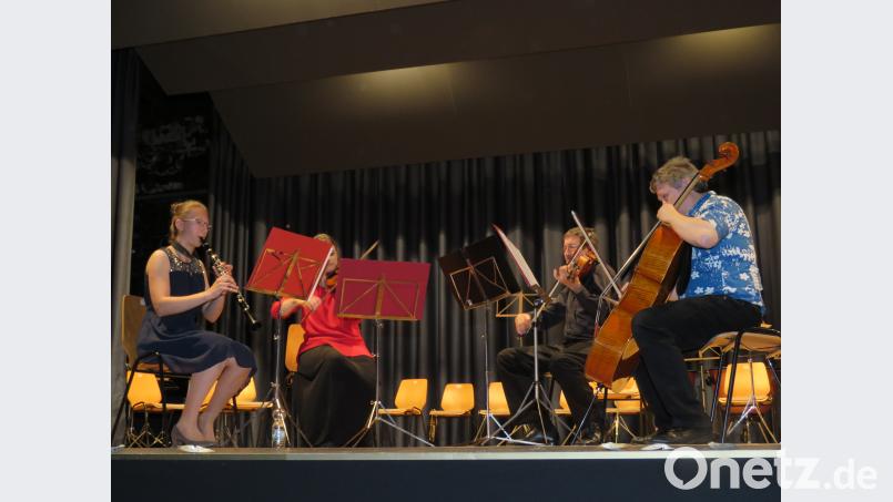 Volkslieder vom Feinsten spielte die Kammermusik. ubb
