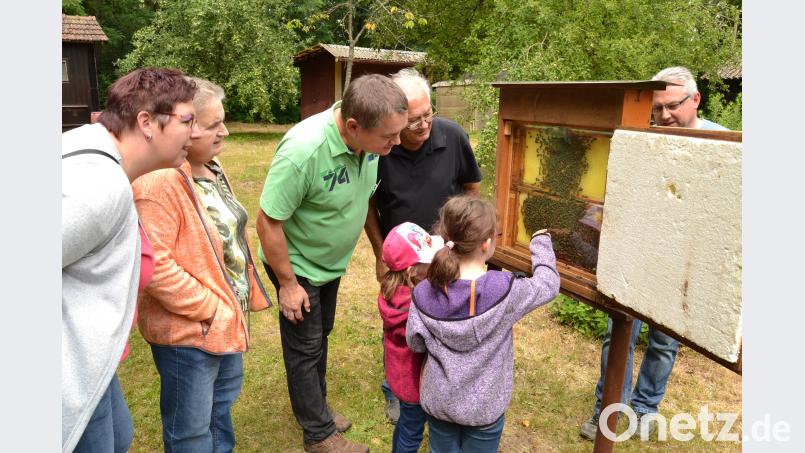 Thomas und Jakob Beck zeigen das Bienenvolk. hcz