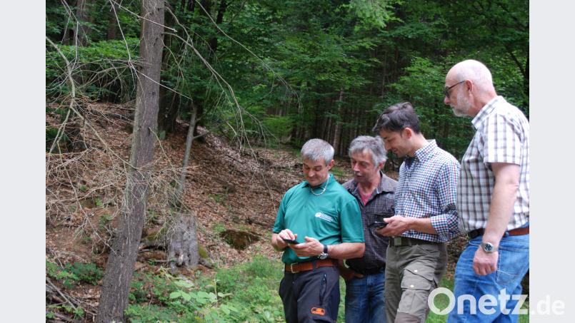 Forstwirt Johann Hammer (von links) erhält eine Einweisung auf dem Smartphone für die neue Borkenkäfer-App. Die beiden Revierleiter Josef Weber und Oswald Hamann sowie der stellvertretende Betriebsleiter Ingo Greim freuen sich über die „digitale Waffe“ des Forstbetriebes Flossenbürg. ptr
