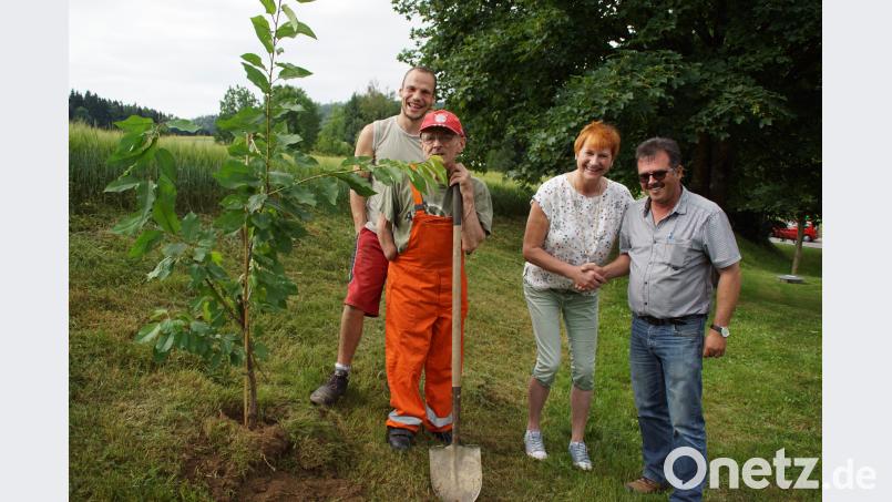 Ein Kirschbaum wurde beim Feuerwehrhaus gepflanzt. Petra Spachtholz, Einrichtungsleiterin im Haus Fuchsenschleife, bedankt sich bei Bürgermeister Manfred Dirscherl für das ausgezeichnete Miteinander zwischen Belegschaft, Heimbewohnern und der Gemeinde. mmj