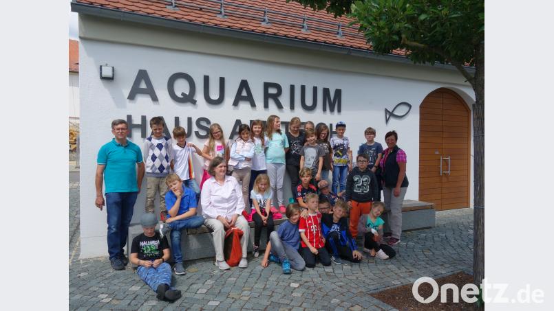 Eine spannende Nacht im Museum lag hinter der Klasse 3b der FIchtelnaabtal-Grundschule. Zusammen mit Lehrerin Ulrike König und Förderlehrerin Roswitha Schraml erkundeten die Kinder am nächsten Morgen die Fachabteilung der Fischerei. jpl