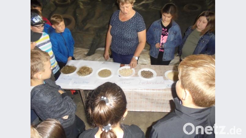 Besuch beim Bauernhof in Kleinbüchlberg. exb
