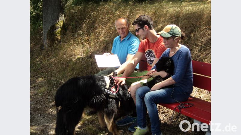 Eine Bank zum Verweilen. Kochherr