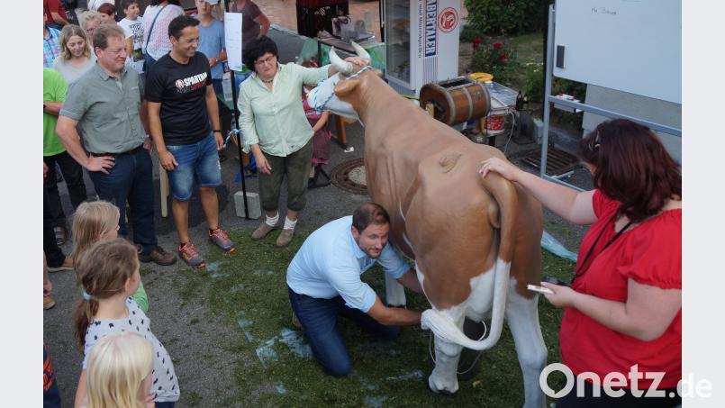 Großen Spaß bereitete den Gästen der Melkwettbewerb des Elternbeirates gegen die Lehrer. Unter den kritischen Augen von Gerlinde Lohrer melkte Konrektor Dominik Bauer mit viel Einsatz. weu