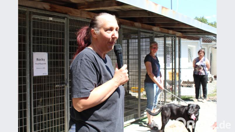 Tierheimleiterin Daniela Riedl und ihr Team stellen ihre Schützlinge vor. mri