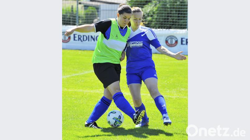 Erdinger Meistercup 2018 beim TUS Rosenberg

Saison: 2018/19

Szene aus dem Vorrundenspiel der Frauen in der Gruppe F:  1. FC Edelsfeld (links)  gegen den SV Altenstadt II (2:1)

Bild: Ziegler Ziegler