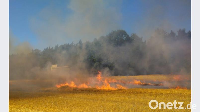 Gleich zwei Mal brannte es am Sonntagnachmittag auf einem Feld in der Nähe des Neunburger Ortsteils Mitteraschau. exb