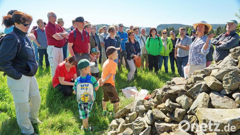Die ziemlich komplizierte Geologie an dieser Stelle mit ihren zahlreichen Gesteinsarten erklärte Geoparkrangerin Ursula Schimmel aus Waldershof. Die hier anzutreffenden Gesteinsformationen haben nichts mit dem Granit des „Hohen Steinwaldes“ zu tun. exb
