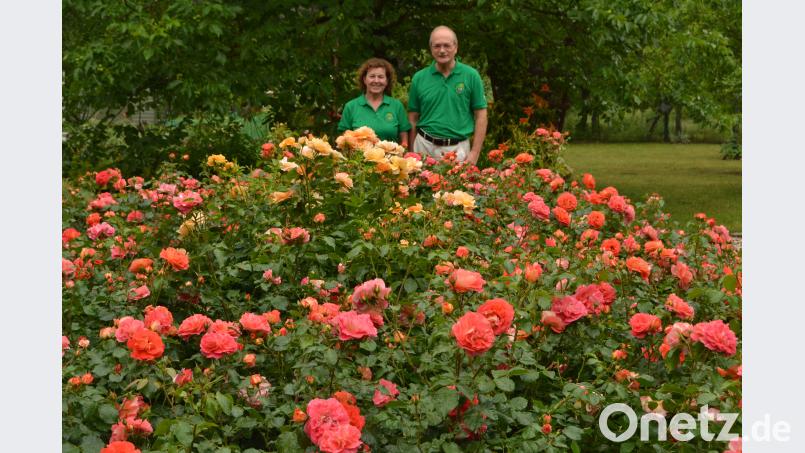 &quot;Gartenfee&quot; Renate Flauger und Obst- und Gartenbauvereins-Vorsitzender Klaus Fischer begrüßen die Besucher am Eingang des Lehr-, Schau- und Vereinsgartens hcz