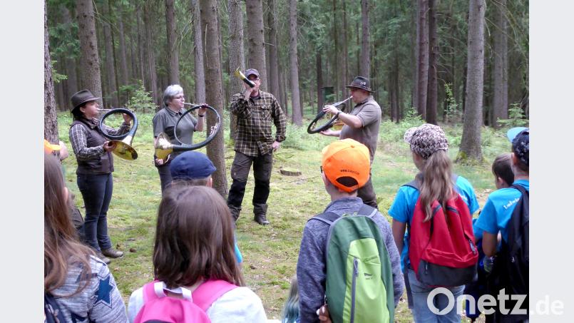 Das Waldhorn als Jagdführer lernten die Schüler beim Pilotprojekt des Jagdschutz- und Jägerverbandes kennen. fsb
