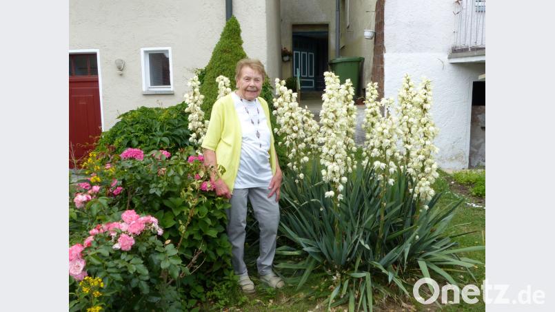 Schmuckstück im Garten: Die üppig blühende Palmlilie. Völkl