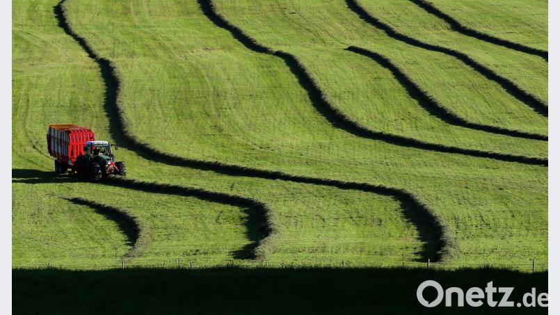 Bei der Heuernte Karl-Josef Hildenbrand/dpa