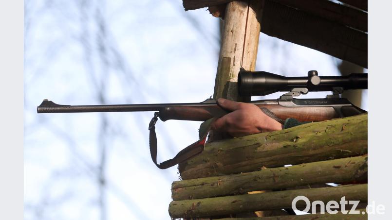 Unbekannte Täter haben zwei Hochsitze für Jäger gesprengt. Bernd Wüstneck/dpa