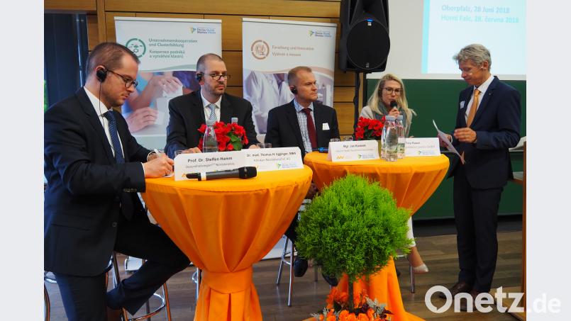 Unter Moderation von OTH-Dekan Clemens Bulitta (Fünfter von links) diskutierten (von links) Professor Steffen Hamm, Geschäftsführer der Gesundheitsregion Plus Nordoberpfalz; Dr. Thomas Egginger, ärztlicher Direktor der Kliniken Nordoberpfalz ; Fachbereichsleiter Jan Karásek vom Gesundheitsamt Pilsen und Tina Hawel von der youtoo GmbH in Wien Bühner