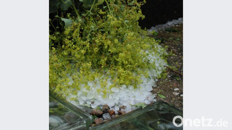 Vielen Gartenbesitzern war beim Anblick der zerstörten Blütenpracht einfach nur zum Heulen zumute. Portner