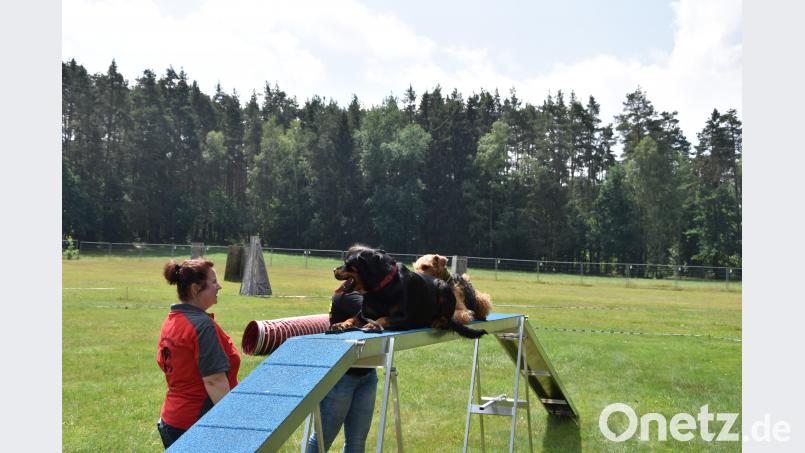 Die Ortsgruppe gestaltete den "Tag des Hundes" mit diversen Vorführungen. exb