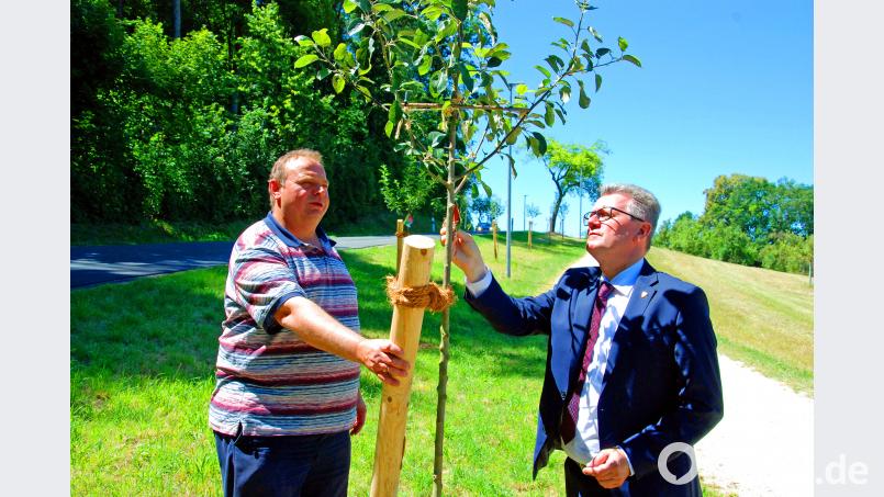 Von Stadtgärtnermeister Klaus Herbst (links) ließ sich Bürgermeister Michael Göth die alten Hochstamm-Obstbaumsorten vorstellen. Bild: Andreas Royer
