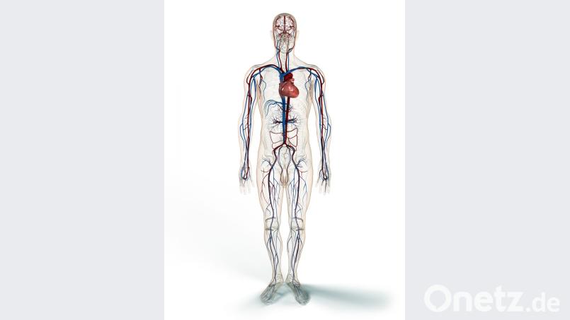 Bild: arsdigital – stock.adobe.com